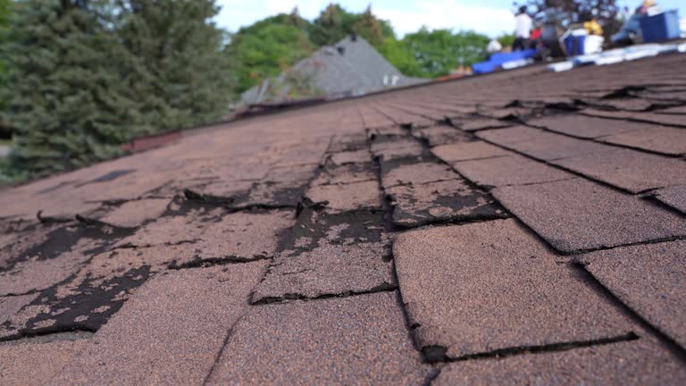 Best Flat Roofing  in Turlock, CA